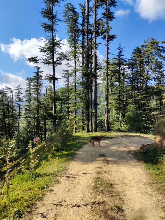 Norvin Homes Shimla Esterno foto