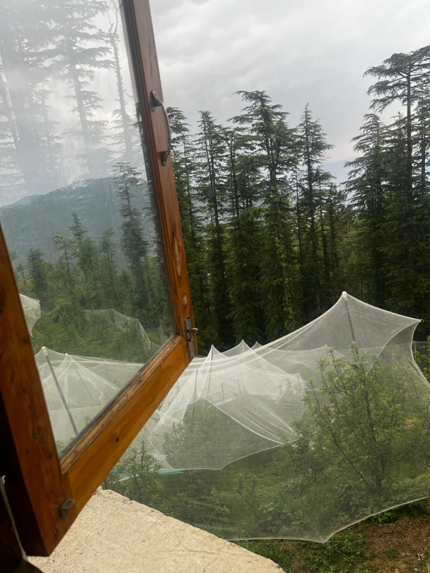 Norvin Homes Shimla Esterno foto